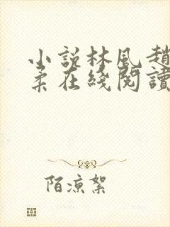 小说林风赵刚苏柔在线阅读苏柔