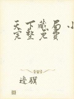 天下藏局 小说完整免费