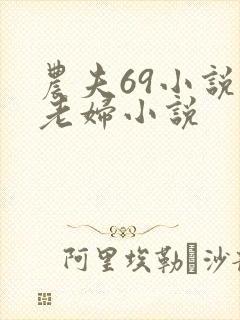 农夫69小说恋老妇小说