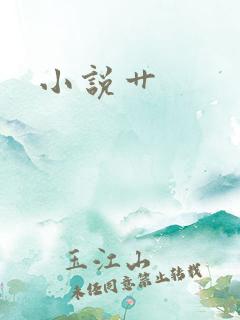 小说艹