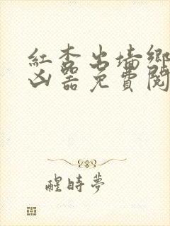 红杏出墙乡村大凶器免费阅读