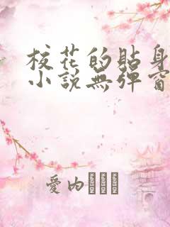 校花的贴身高手小说无弹窗全文免费阅读