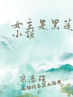 女主是黑莲花的小说