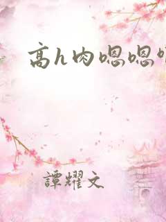 高h肉嗯嗯啊啊