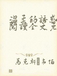 温柔的诱惑小说阅读全文免费阅读