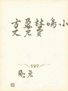 方盈林鸣小说全文免费
