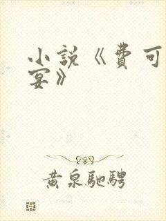 小说《费可的晚宴》