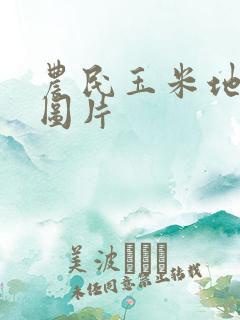 农民玉米地干活图片