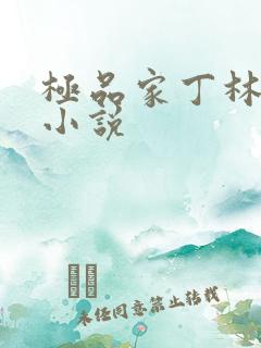 极品家丁林晚荣小说