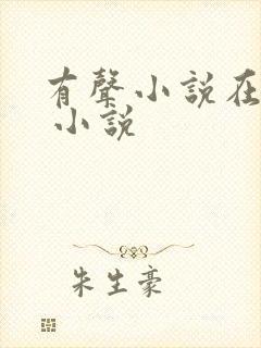 有声小说在线听 小说