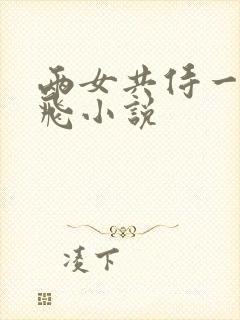 两女共侍一夫双飞小说