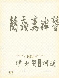 林天玄小说免费阅读无弹窗