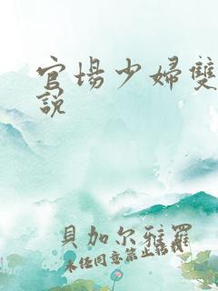 官场少妇双飞小说