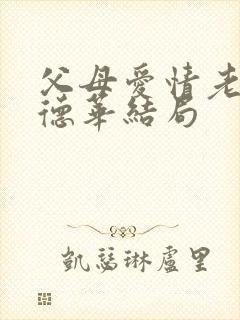 父母爱情老丁和德华结局