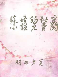 苏晴的秘密言情小说免费阅读