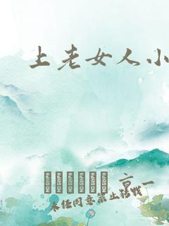 上老女人小说
