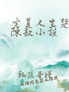 完美人生楚青丝陈叔小说
