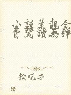 小说叶观全文免费阅读无弹窗