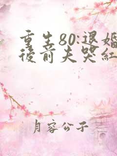 重生80:退婚后前夫哭红眼