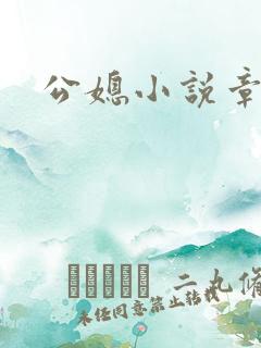 公媳小说章节