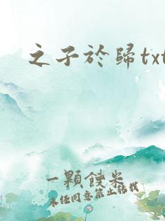 之子于归txt