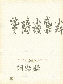 沈姨小成小说免费阅读最新章节更新