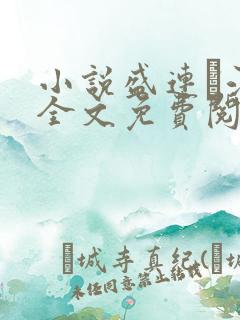小说盛连玦江挽全文免费阅读最新章节