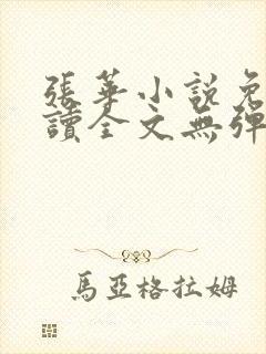 张华小说免费阅读全文无弹窗