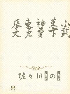 辰东神墓小说全文免费下载