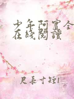 少年阿宾全章节在线阅读