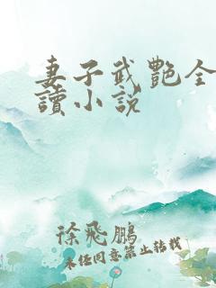 妻子武艳全文阅读小说