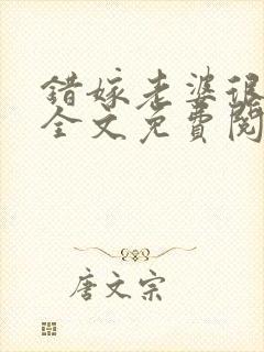 错嫁老婆很迷人全文免费阅读全文