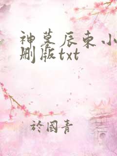 神墓辰东小说未删版txt
