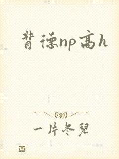 背德np高h