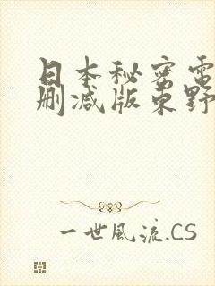 日本秘密电影未删减版东野圭吾