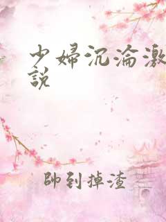 少妇沉沦激情小说