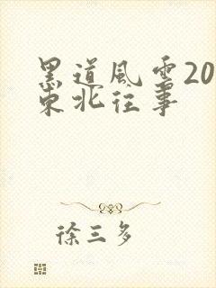 黑道风云20年东北往事