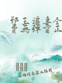 邪王追妻全文免费无弹窗正版