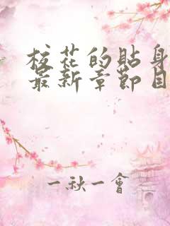 校花的贴身高手最新章节目录列表