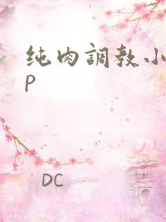 纯肉调教小说np