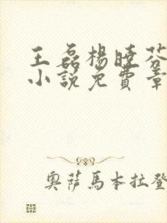 王磊杨晓芬后妈小说免费章节