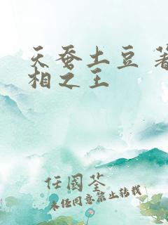 天蚕土豆 著万相之王
