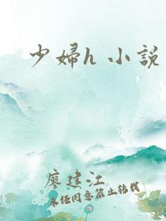 少妇h 小说