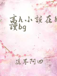高h小说在线阅读bg