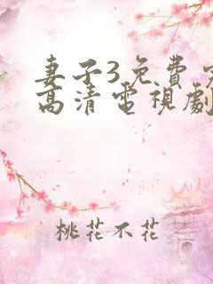 妻子3免费完整高清电视剧在线