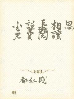 小说长相思原著免费阅读