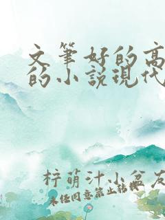 文笔好的高质量的小说现代言情推荐