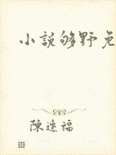 小说够野免费