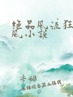 绝品风流狂医林风小说