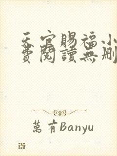 天官赐福小说免费阅读无删减版